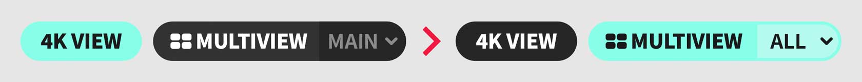 4KVIEW_to_MULTIVIEW